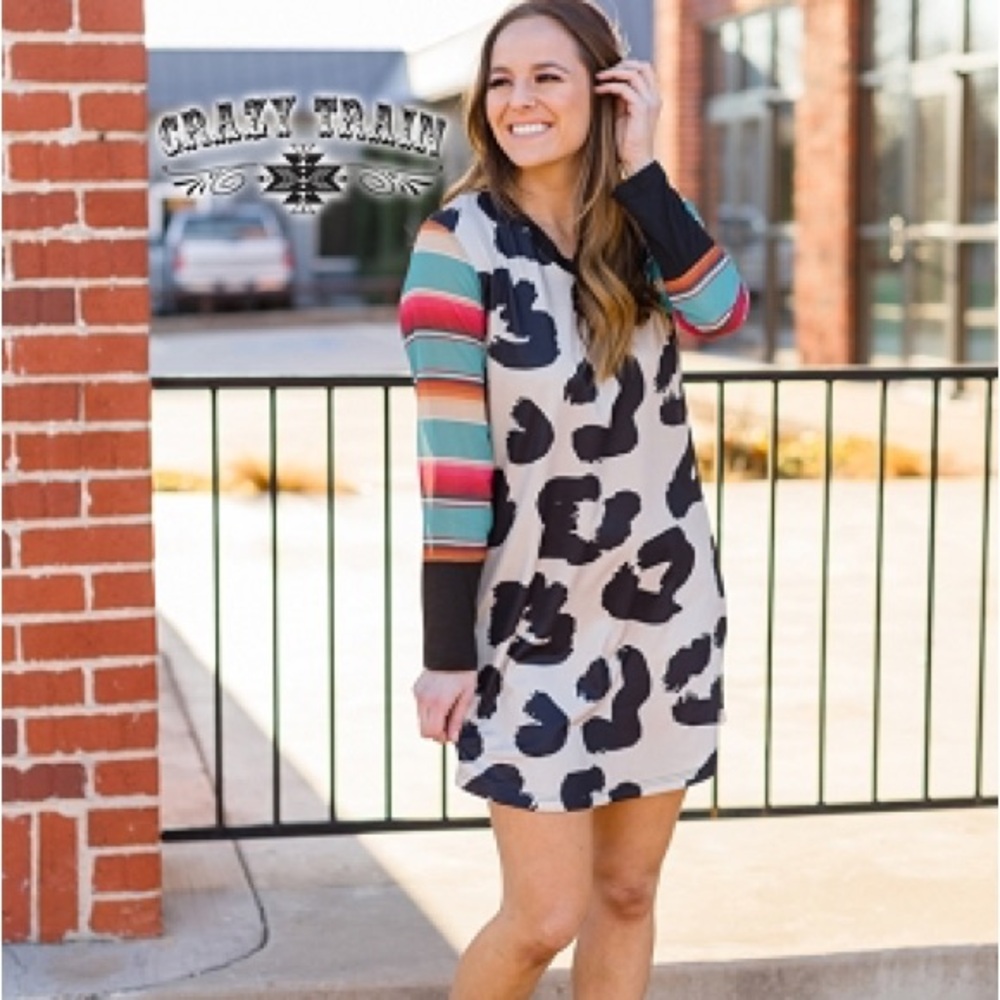 Crazy Train Colorful Striped Sleeve Leopard Dress
